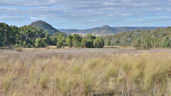 Farm Property for Sale - 2888 BARADINE ROAD Coonabarabran NSW 2357