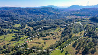 1740  Nimbin Road Koonorigan NSW 2480
