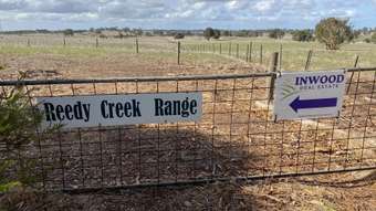 Farm Property for Sale - Lot 2 Brinkworth Road, Tungkillo, SA 5236 Tungkillo SA 5236