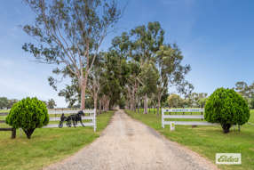255 Rothackers Road Serpentine VIC 3517