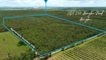 Farm Property for Sale - Lot 200 Abington Road Abington QLD 4660