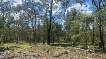Farm Property for Sale -  Barrs Road Bucca QLD 4670