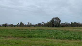 Farm Property for Sale - 1674 Thomas Road Oakford WA 6121