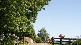 Farm Property for Sale - 5050 Waterfall Way Dorrigo NSW 2453