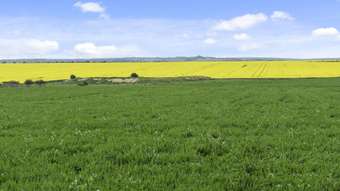 Farm Property for Sale - 789 Shelford Road Meredith VIC 3333