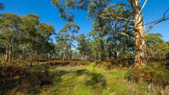 Farm Property for Sale -  Lake Gorrie Road Macarthur VIC 3286