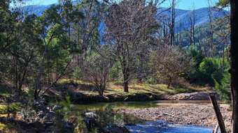 Farm Property for Sale - Lot 4 Araluen Road Araluen NSW 2622