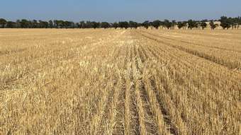 Farm Property for Sale - . &amp;apos;Palmerston&amp;apos; Lease South Tammin WA 6409