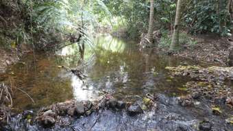 Farm Property for Sale - Bombeeta QLD 4871