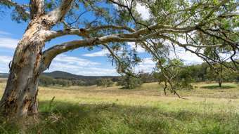 Farm Property for Sale - Lot 10 Wallerawang Rydal Road Mount Lambie NSW 2790