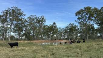 Farm Property for Sale - 99 Valley Run Road Boyne Valley QLD 4680