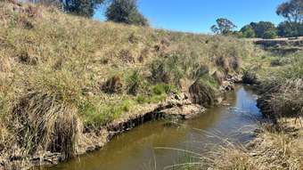 Farm Property for Sale - 851 Dry Creek Road Lewis Ponds NSW 2800