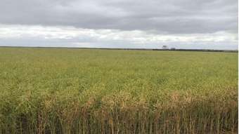 Farm Property for Sale - , Johnstone&amp;apos;s Block Mindarabin WA 6336