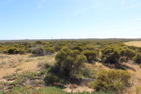 Farm Property for Sale - S22 Tori Hills Road Sandalwood SA 5309