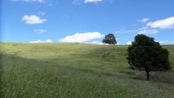 Farm Property for Sale - 252 Lefthand Branch Road Upper Tenthill QLD 4343