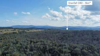 Farm Property for Sale - Lot 2 Adelargo Road Grenfell NSW 2810