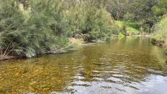 Farm Property for Sale - Lot 74 Palmers Oakey Road Palmers Oaky NSW 2795