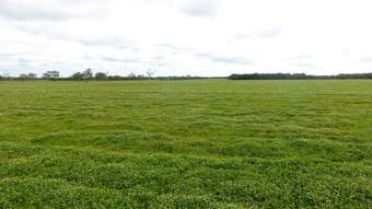 Farm Property for Sale -  Connewarren Lane Mortlake VIC 3272