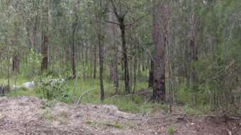 Farm Property for Sale - 48 Horsecamp Road Gin Gin QLD 4671