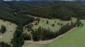 Farm Property for Sale - Lot 3 Prices Creek Road Bunyah NSW 2429
