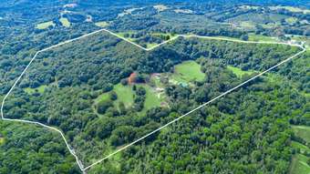 Farm Property for Sale - 84 Armstrong Road Rosebank NSW 2480