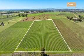 Farm Property for Sale - 106 Anderson Lane Cowra NSW 2794