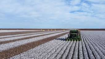 Farm Property for Sale - Gundaline Sturt Highway Carrathool NSW 2711