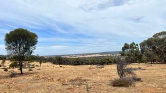 Farm Property for Sale - 28713 Avon Location 28713,  Dobaderry Road Beverley WA 6304