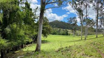 Farm Property for Sale - LOT 6 Afterlee Road - Afterlee Kyogle NSW 2474