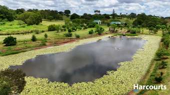 Farm Property for Sale - 75 North Isis Road Childers QLD 4660