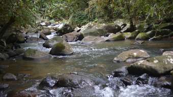 Farm Property for Sale - 911 Middlebrook Road Middlebrook QLD 4886