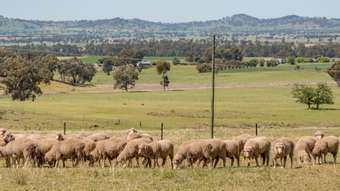 Farm Property for Sale - 'Braeside' Conimbla Road Cowra NSW 2794