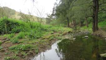 Farm Property for Sale - The Alaska Curricabark Road Dewitt NSW 2422