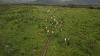 Farm Property for Sale -  LAKELAND, QLD Lakeland QLD 4871