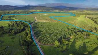 Farm Property for Sale - 1052 North Davidson Rd Munro Plains QLD 4854