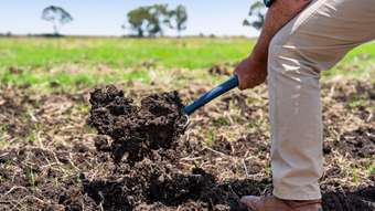 Farm Property for Sale - "East New England Highway Missen Flat QLD 4361