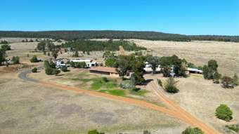 Farm Property for Sale - 196 Teatree Gully Road Bullawa Creek NSW 2390