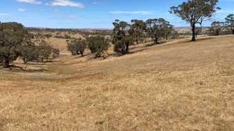 Farm Property for Sale - 547 Keyneton Estate Road Keyneton SA 5353