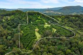 1005 TUNTABLE CREEK ROAD Nimbin NSW 2480