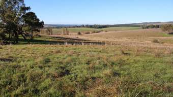 Farm Property for Sale - 911 Carabost Road Humula NSW 2652