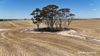Farm Property for Sale - 18984 Great Eastern Highway South Doodlakine WA 6411