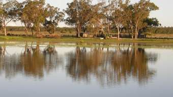 Farm Property for Sale -  GLENMORE Surat QLD 4417