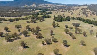 Farm Property for Sale - 127 Winburndale Dam Road Napoleon Reef NSW 2795