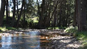 Farm Property for Sale - 399 Clear Creek Road Clear Creek NSW 2795