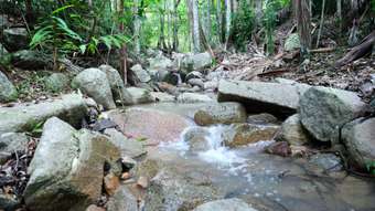 Farm Property for Sale - Lot 177 Bellthorpe Road Conondale QLD 4552