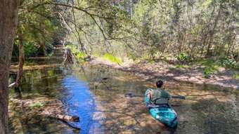 Farm Property for Sale - 1725 Nulla Nulla Road Bellbrook NSW 2440