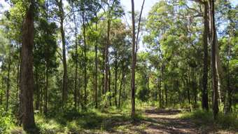 Farm Property for Sale - Kundabung NSW 2441