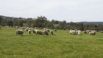 Farm Property for Sale - 45 Vezey Road Meelon WA 6208