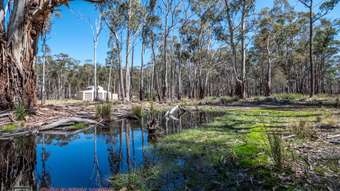 Farm Property for Sale - 1261E Ten Mile Road Deepwater NSW 2371