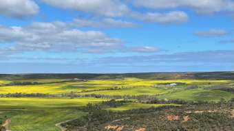 Farm Property for Sale - 405 Murphy - Yetna Road Yetna WA 6532